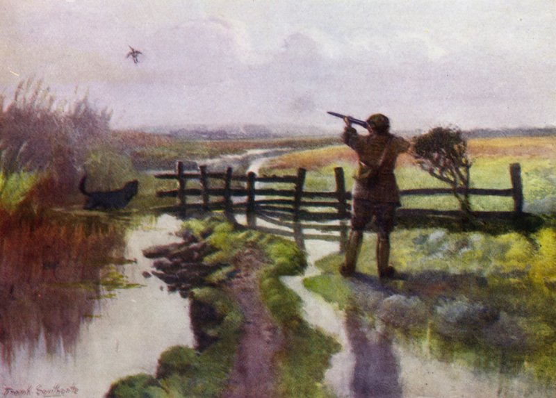 Norfolk Broads: Una mañana de octubre en los pantanos de Frank Southgate