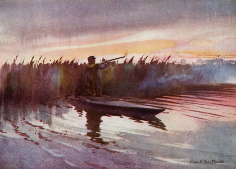 Norfolk Broads: Tiro al vuelo (litografía en color) de Frank Southgate