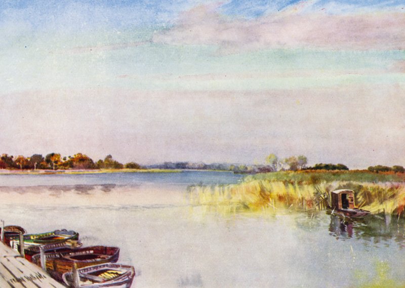 Norfolk Broads: Ormesby Broad, otoño de Frank Southgate