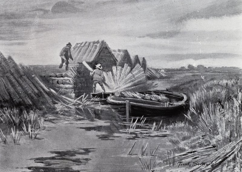 Norfolk Broads: Apilamiento de cañas (litografía) de Frank Southgate