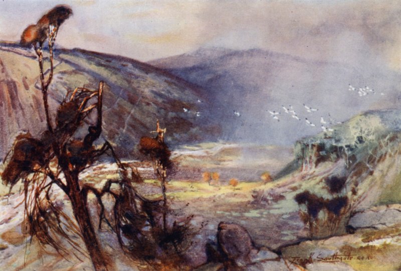Tormenta en los Cheviots (litografía en color) de Frank Southgate
