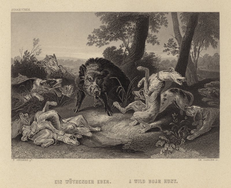 Una Caza de Jabalíes de Frans Snyders or Snijders