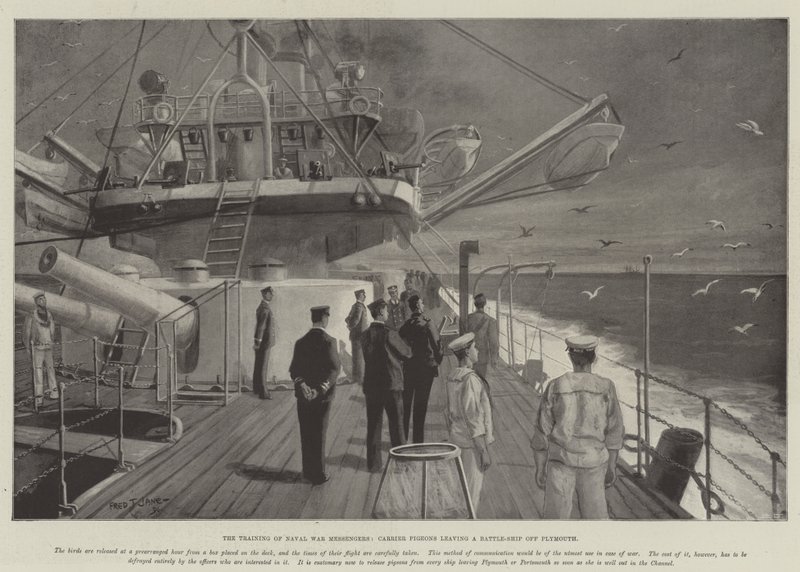 El entrenamiento de mensajeros de guerra naval, palomas mensajeras saliendo de un acorazado frente a Plymouth de Fred T. Jane
