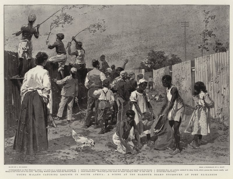 Jóvenes malayos cazando langostas en Sudáfrica, una escena en el recinto del Puerto de Elizabeth de Frederic de Haenen