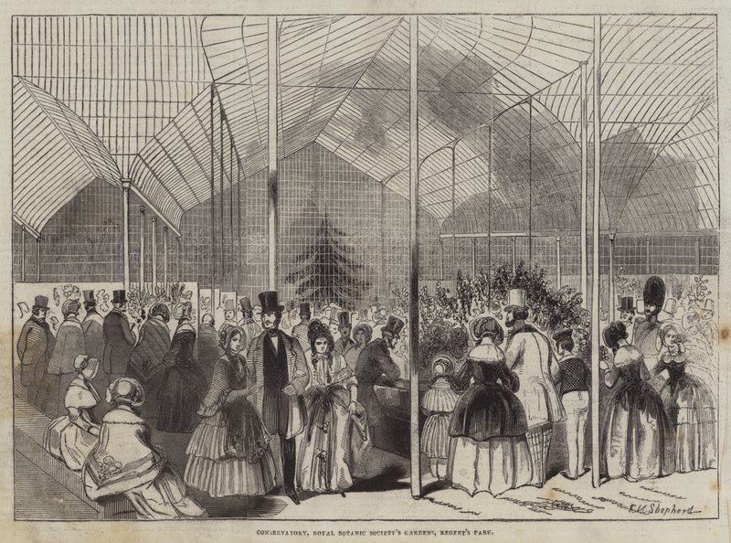 Conservatorio, Jardines de la Sociedad Botánica Real, Regent