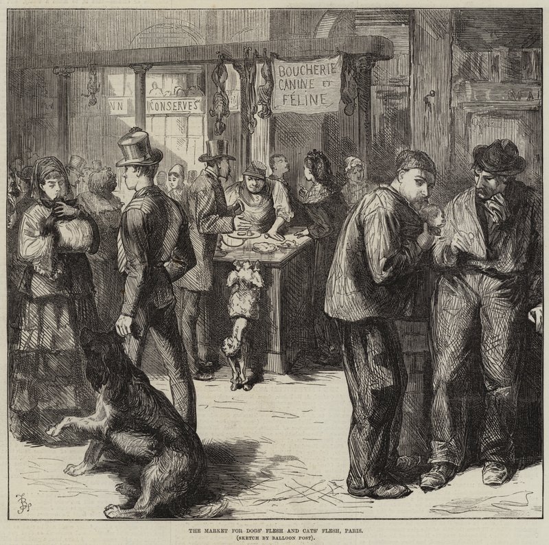 El mercado de carne de perro y carne de gato, París de Frederick Barnard