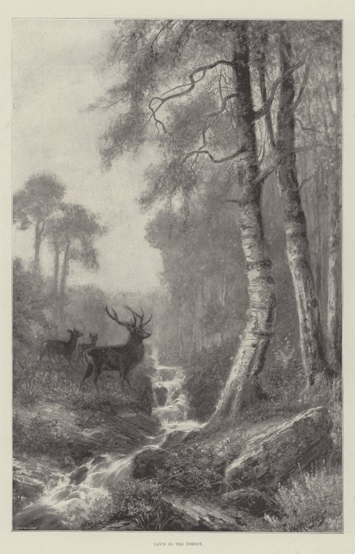 Amanecer en el bosque de Frederick William Hayes