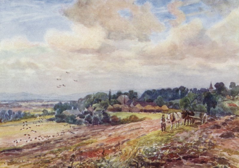 Hungry Grafton de Frederick William Newton Whitehead