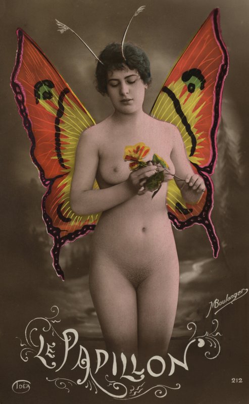 La mariposa de French Photographer