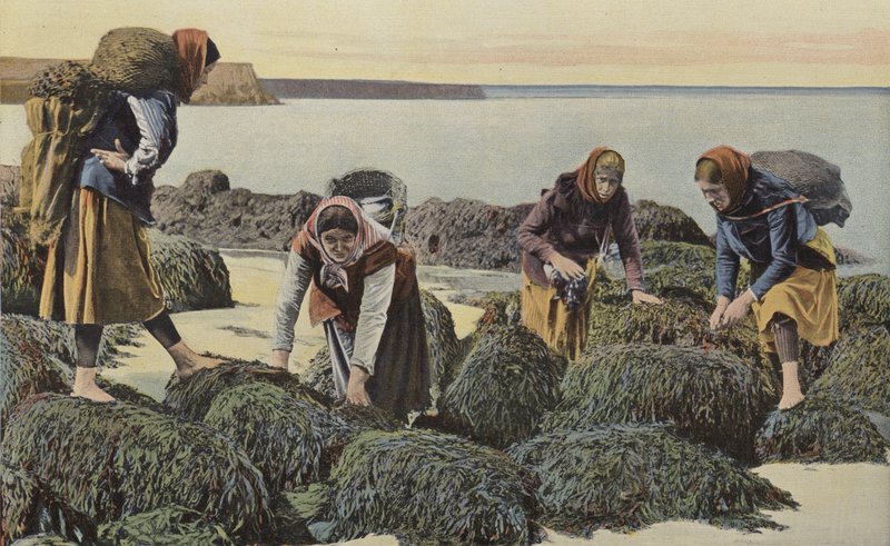 Boulogne-sur-Mer, Tipos de mariscadores de French Photographer