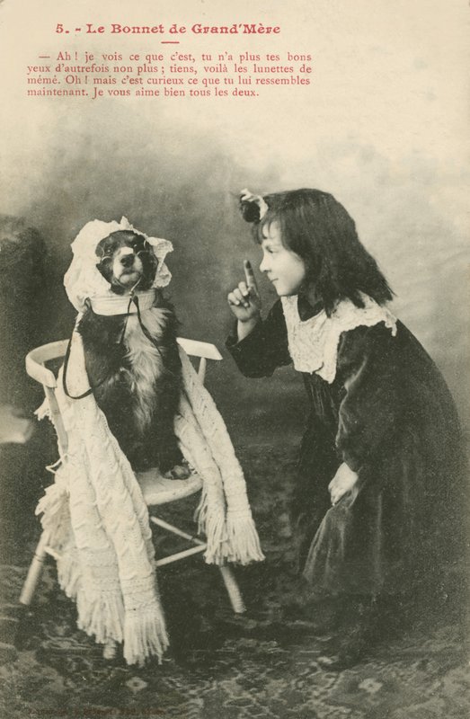 Niña vistiendo a su perro con un gorro de French Photographer