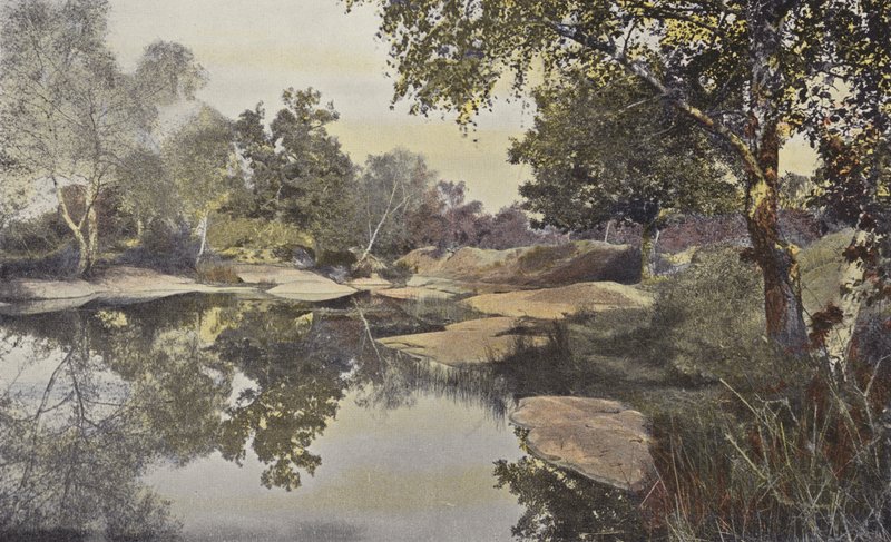 Fontainebleau, Bosque, Charca de Franchard de French Photographer