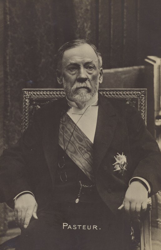 Louis Pasteur (1822-1895), químico y microbiólogo francés de French Photographer
