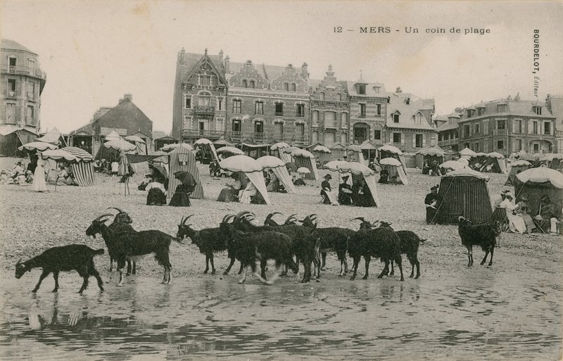 Mers - una parte de la playa. Postal enviada en 1913. de French Photographer
