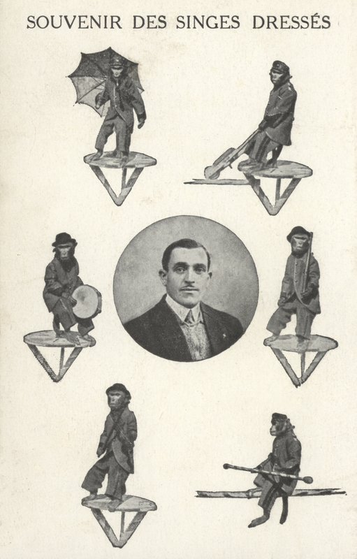 Monos con disfraz de French Photographer