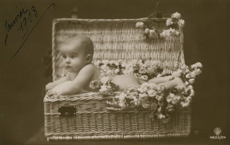 Bebé en una cesta de mimbre con flores de French Photographer