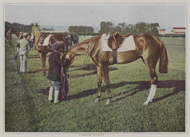 Caballos de carrera en Deauville, Francia de French Photographer