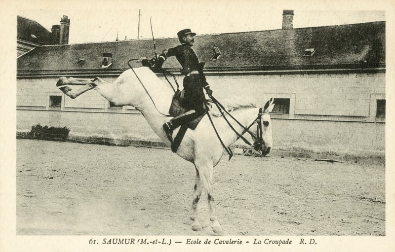 Saumur (Maine-et-Loire), Escuela de Caballería, La Croupade de French Photographer