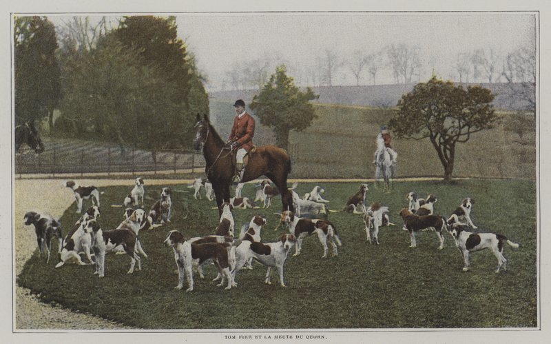 Tom Firr y los sabuesos de la Quorn Hunt, Leicestershire de French Photographer