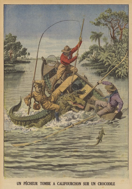 Un pescador cayendo sobre un cocodrilo después de que volcara su bote de French School