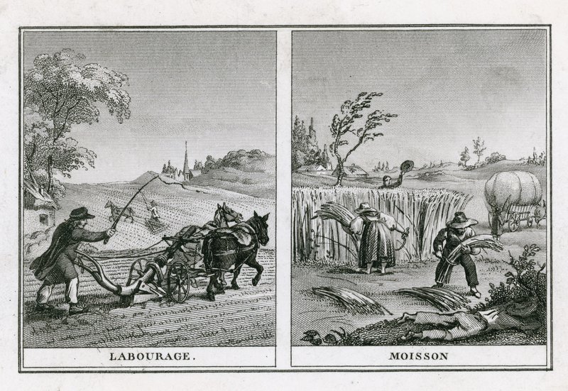 Escenas agrícolas de arado y cosecha de French School