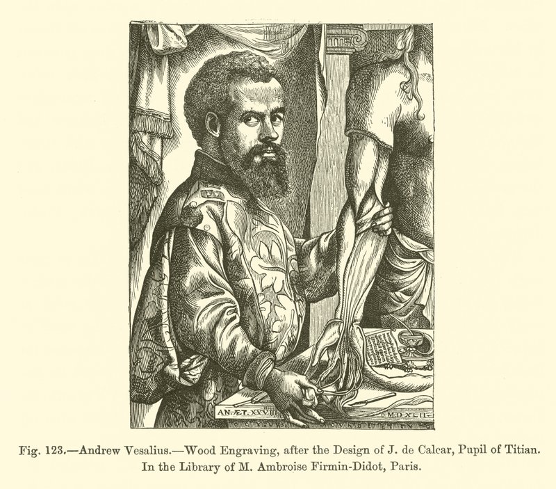 Andrés Vesalio de French School