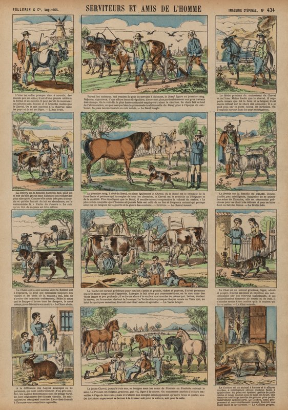 Animales beneficiosos para el hombre de French School