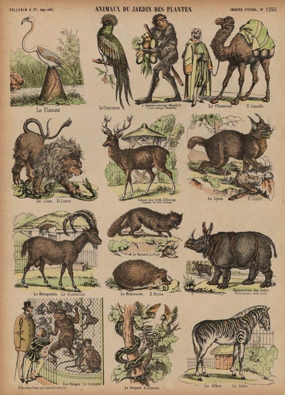 Animales del Jardín de Plantas, París, Francia de French School