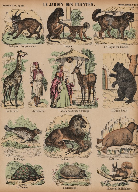 Animales del Jardin des Plantes, París, Francia de French School