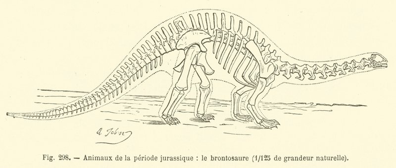 Animales del período jurásico, el brontosaurio de French School