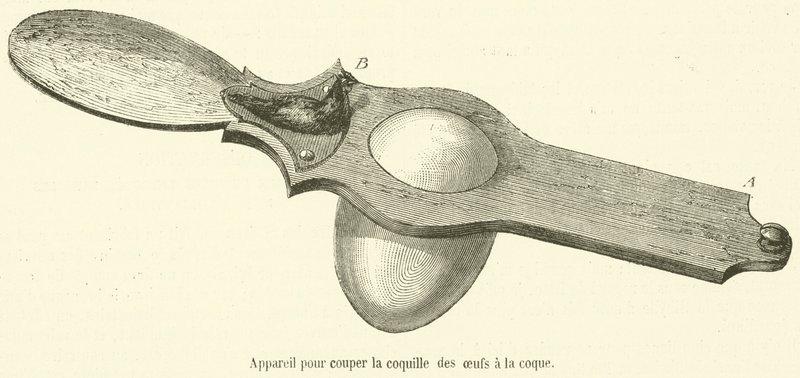 Aparato para cortar la cáscara de los huevos pasados por agua de French School