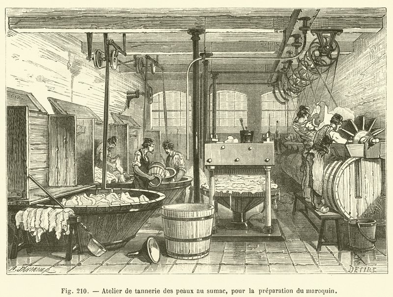 Taller de curtido de pieles con zumaque, para la preparación del marroquín de French School