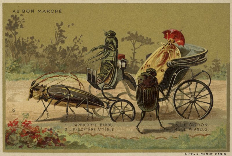 Tarjetas Au Bon Marché con insectos antropomorfos de French School