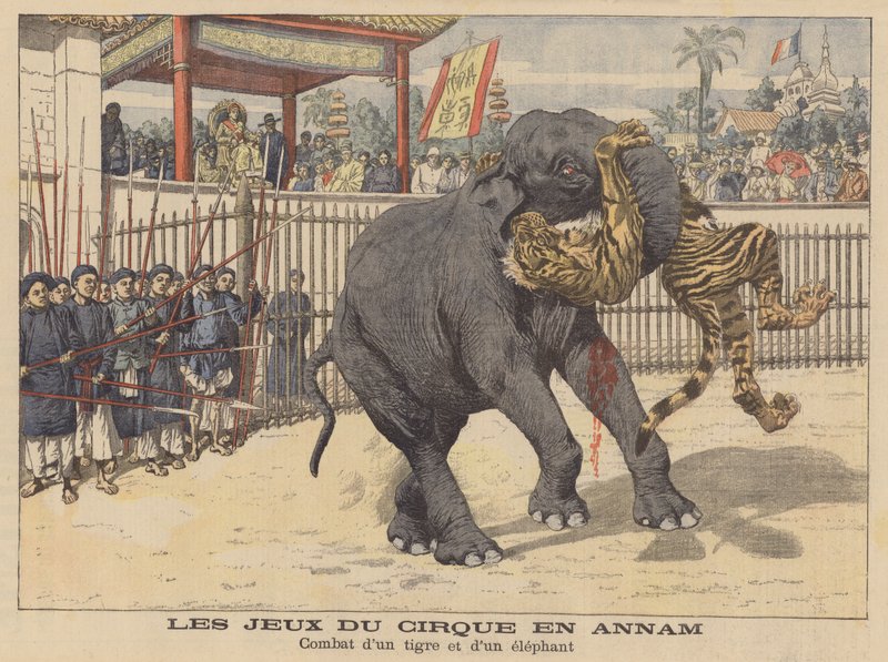 Batalla entre un elefante y un tigre en un circo en Annam, Indochina (litografía en color) de French School