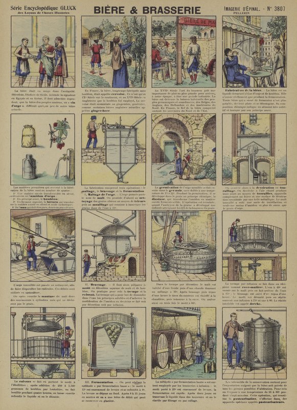 Cerveza y elaboración de cerveza de French School