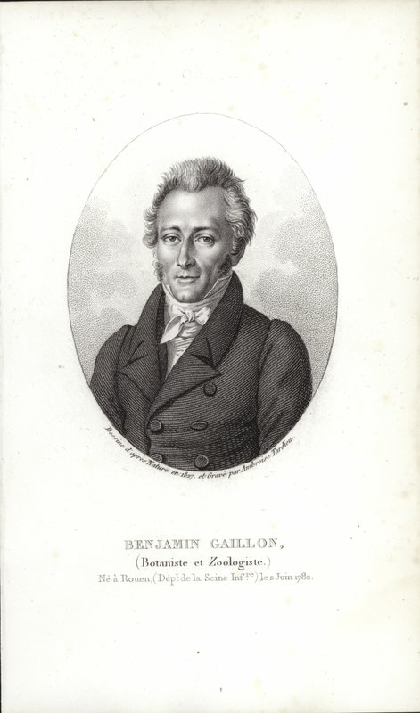 Benjamin Gaillon de French School