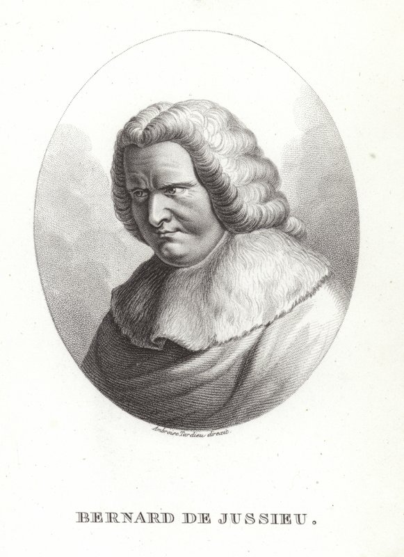Bernard de Jussieu de French School