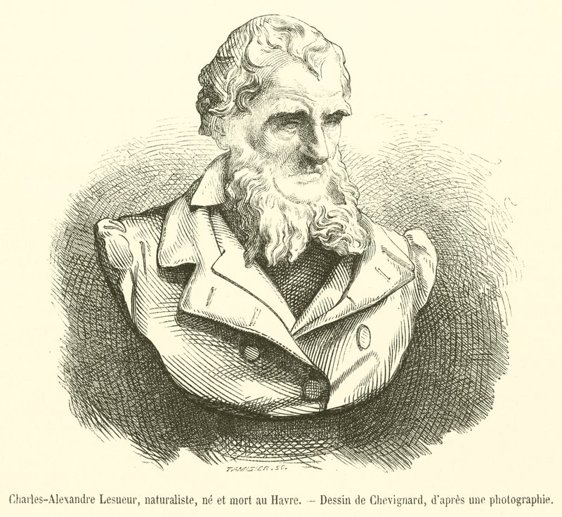 Charles-Alexandre Lesueur, naturalista, nacido y muerto en Le Havre de French School