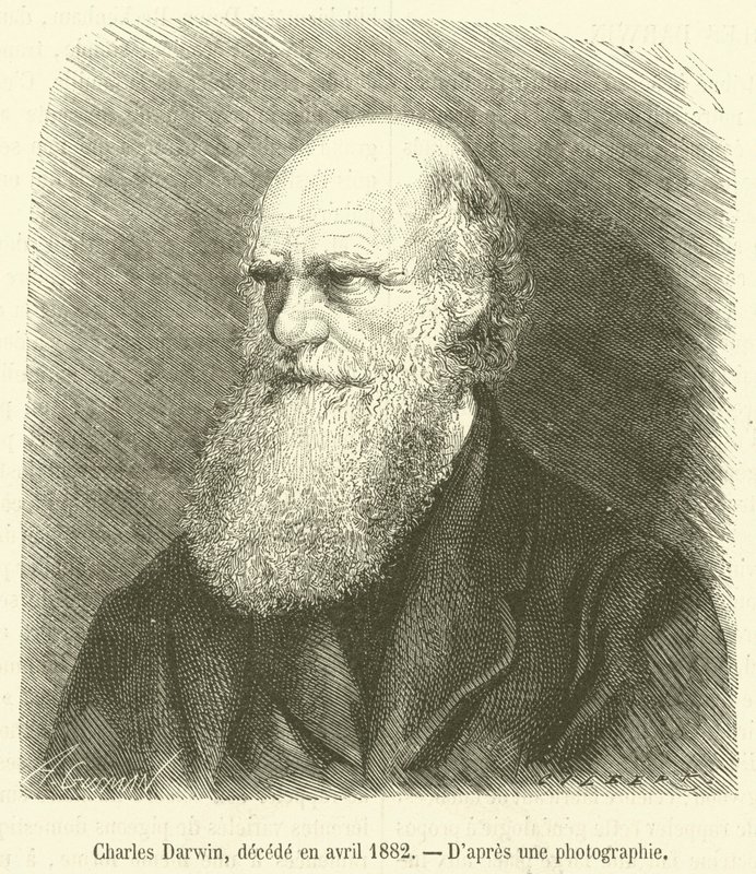 Charles Darwin, fallecido en abril de 1882 (grabado) de French School