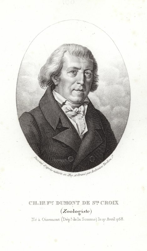 Charles Dumont de Sainte-Croix de French School