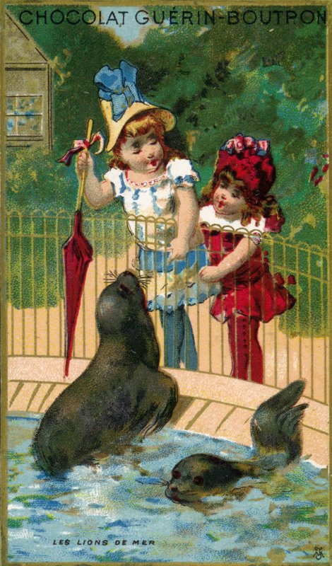 Niños en el zoológico, mirando a los leones marinos de French School