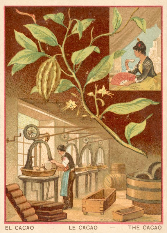Cacao de French School