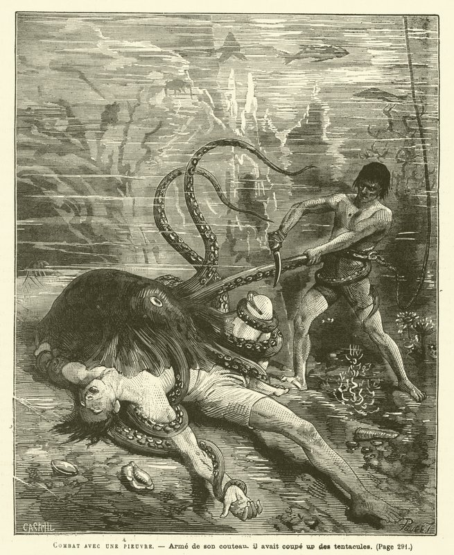 Combate con un pulpo de French School