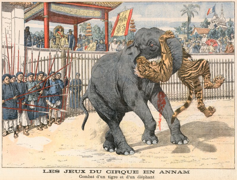 Combate entre un tigre y un elefante de French School