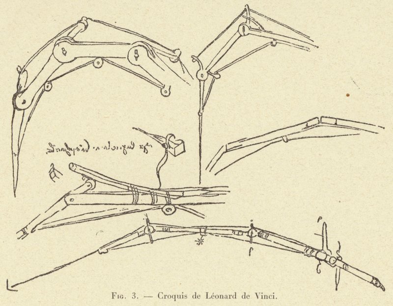 Croquis de Leonardo da Vinci de French School