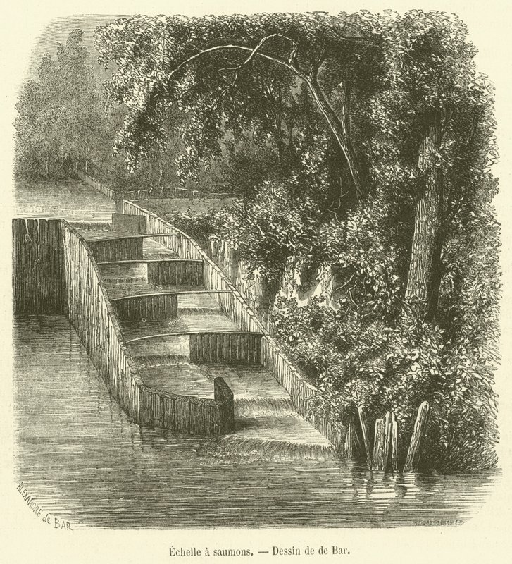 Escalera para salmones de French School