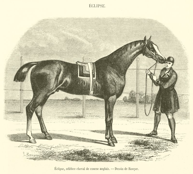 Eclipse, famoso caballo de carreras inglés de French School