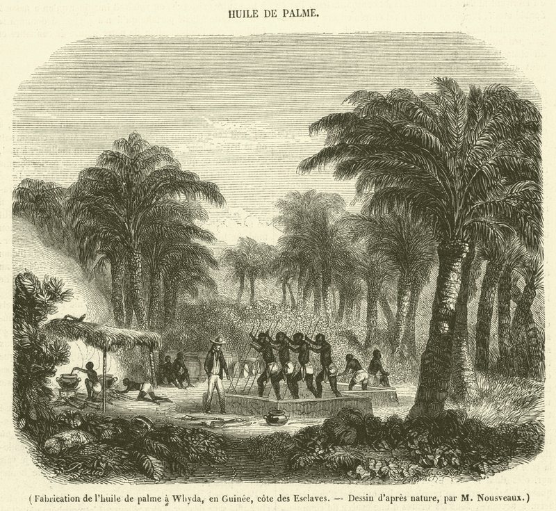Fabricación de aceite de palma en Whyda, en Guinea, costa de los Esclavos de French School