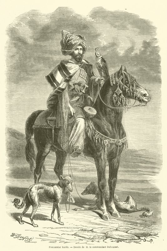 Halconero kurdo de French School