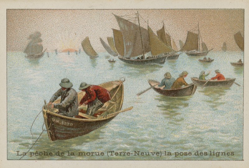 Pesca de bacalao en Terranova - colocando líneas de French School